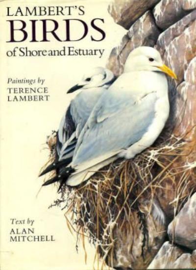 Birds of Shore and Estuary