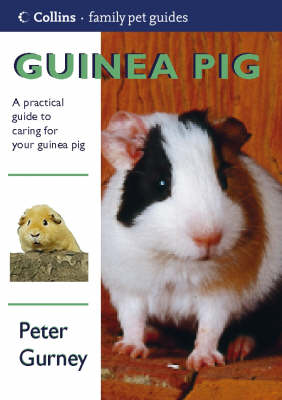 Guinea Pig (Collins Family Pet Guide) Peter Gurney