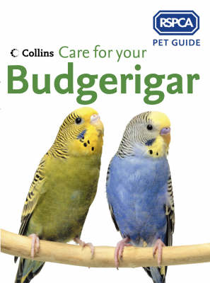Care for your Budgerigar (RSPCA Pet Guide)