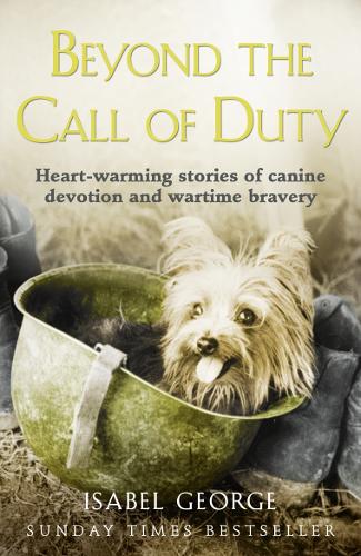 Beyond the Call of Duty