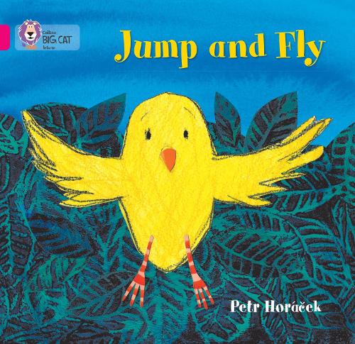 Jump and Fly