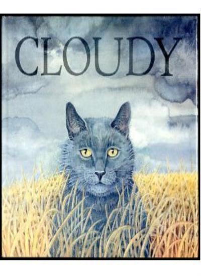 Cloudy