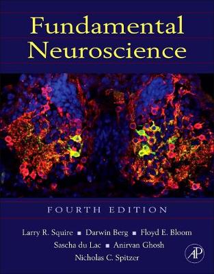 Fundamental Neuroscience