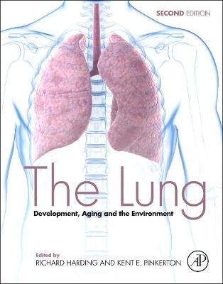 The Lung