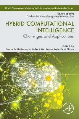 Hybrid Computational Intelligence