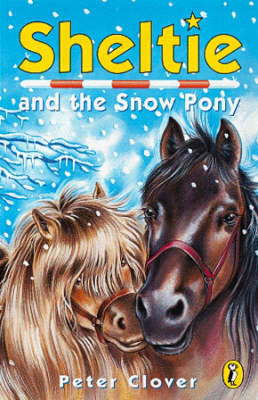 Sheltie and the Snow Pony