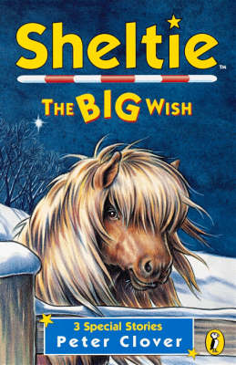 Sheltie Special 6: The Big Wish