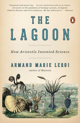 The Lagoon