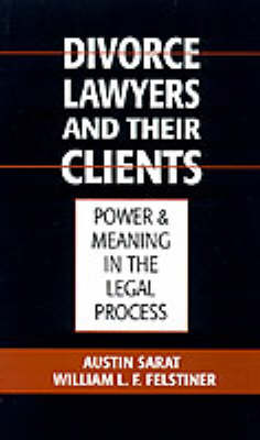 Divorce Lawyers and Their Clients