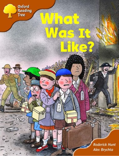 Oxford Reading Tree: Stage 8: More Storybooks (Magic Key): What Was It Like?