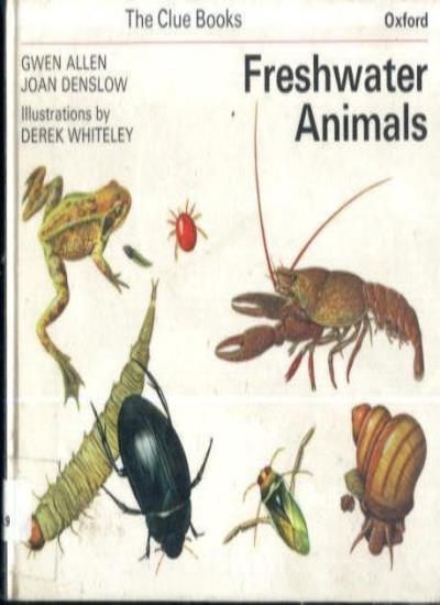 Freshwater Animals (Clue Books)