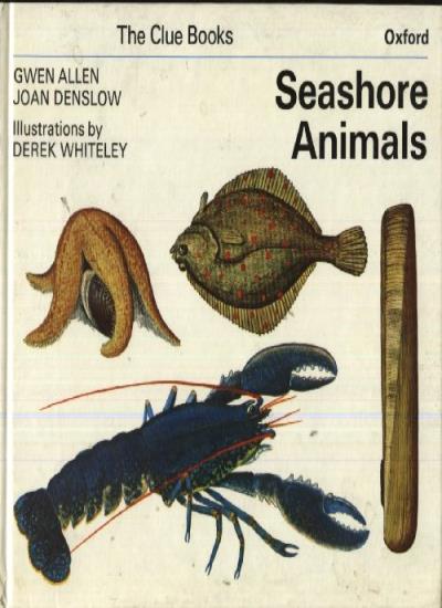 Seashore Animals : ( The Clue Books ) :
