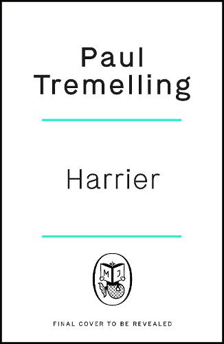 Harrier: How To Be a Fighter Pilot