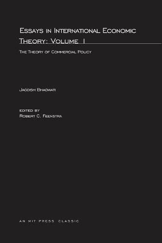 Essays in International Economic Theory