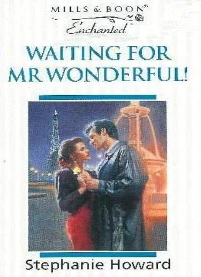 Waiting for Mr. Wonderful! (Enchanted S.)