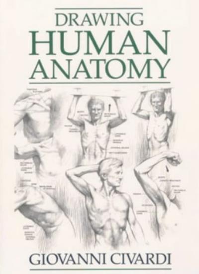 Drawing Human Anatomy