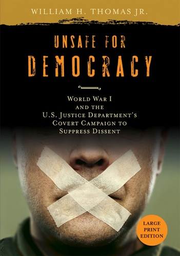 Unsafe for Democracy