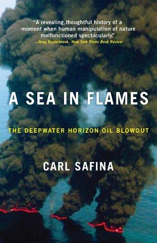 A Sea in Flames