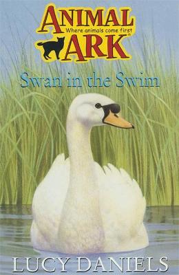 Swan in the Swim (Animal Ark 23)