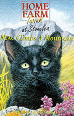 Mac Climbs A Mountain: 1 (Home Farm Twins)