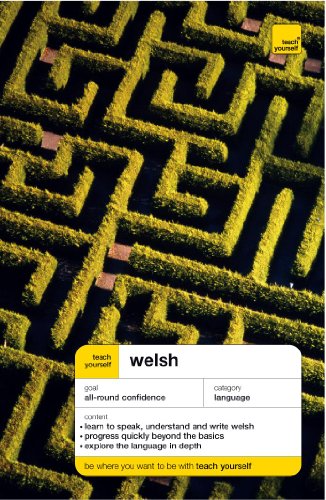 Teach Yourself Welsh New Edition (Teach Yourself Languages)