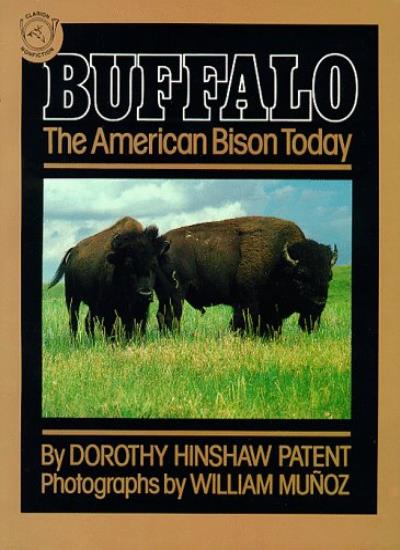 Buffalo: American Bison Today
