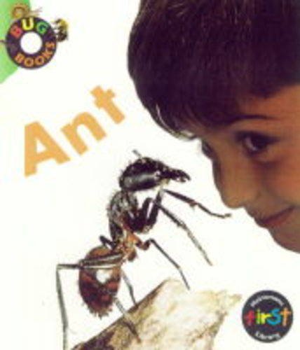 Ant (Bug Books)