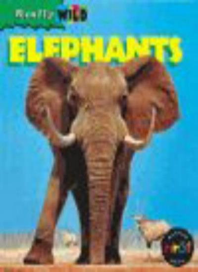 Elephants (Really Wild)