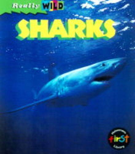 Sharks (Really Wild)