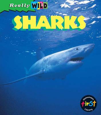 Sharks (Really Wild)