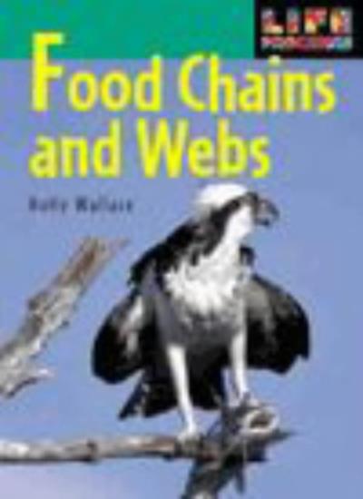 Food Chain and Webs (Life Processes)