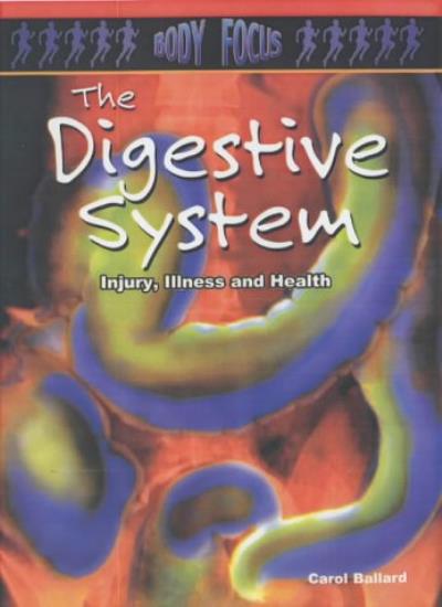 The Digestive System (Body Focus)