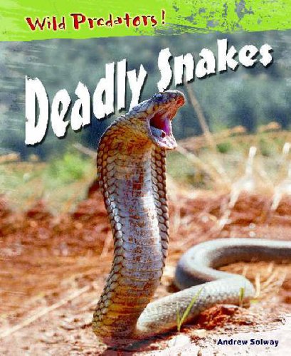 Deadly Snakes (Wild Predators)