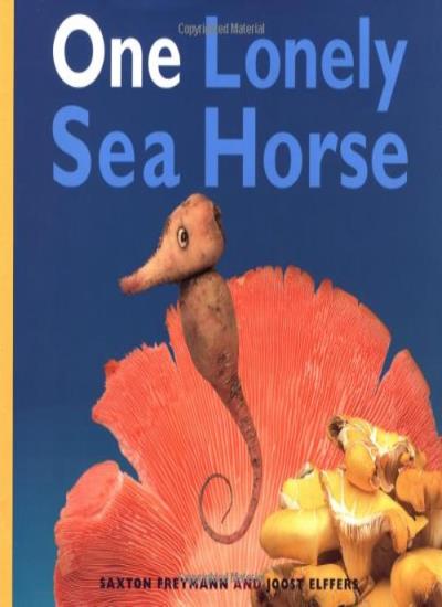One Lonely Seahorse