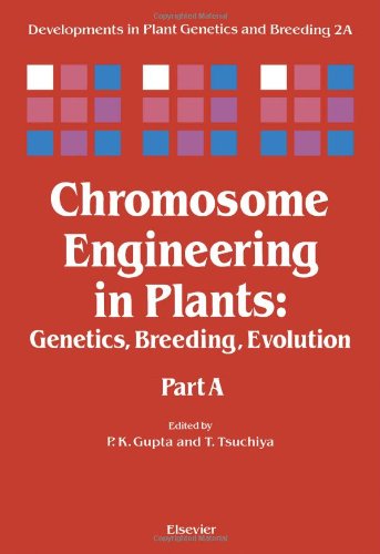 Chromosome Engineering in Plants: Genetics, Breeding, Evolution: Volume 2A (Developments in Plant Genetics and Breeding)