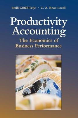 Productivity Accounting