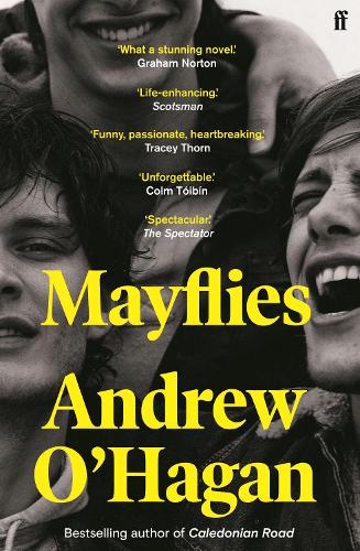 Mayflies