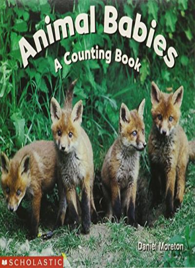 Animal Babies - A Counting Book