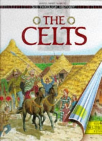 See Through History: The Celts (Cased) (See Through History S.)