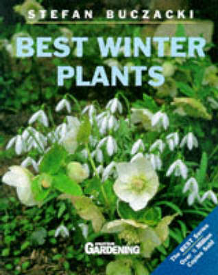 Best Winter Plants