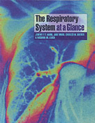 The Respiratory System at a Glance