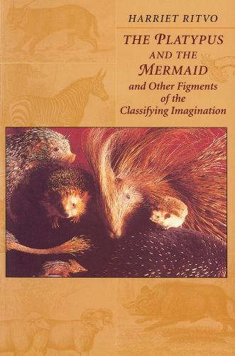 The Platypus and the Mermaid