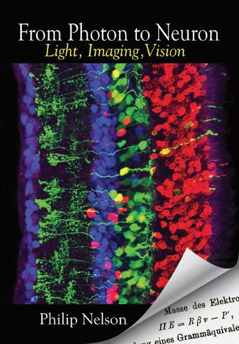 From Photon to Neuron