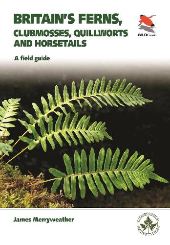 Ferns