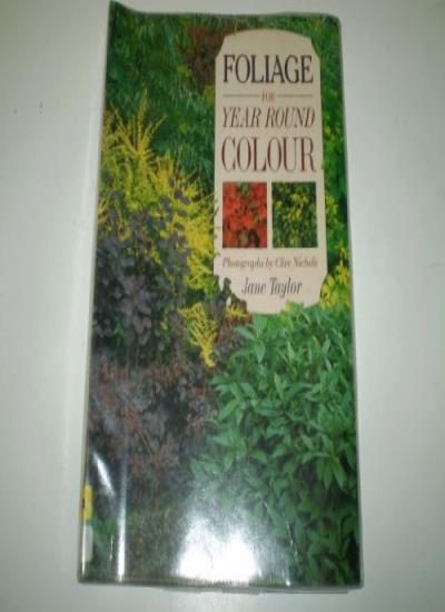 Foliage for Year Round Colour