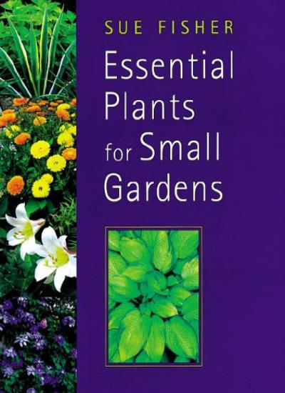 Essential Plants for Small Gardens