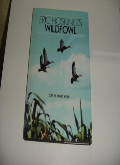 Eric Hosking's Wildfowl