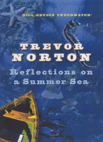Reflections on a Summer Sea