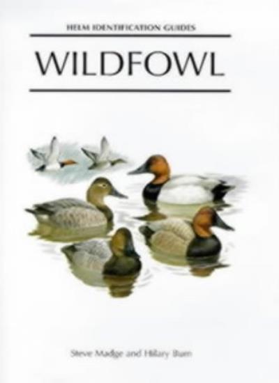 Wildfowl: An Identification Guide to the Ducks, Geese and Swans of the World (Helm Identification Guides)