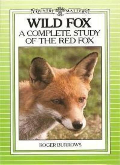 Wild Fox